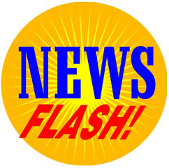 News Flash Icon