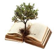 tree growing out of book clipart